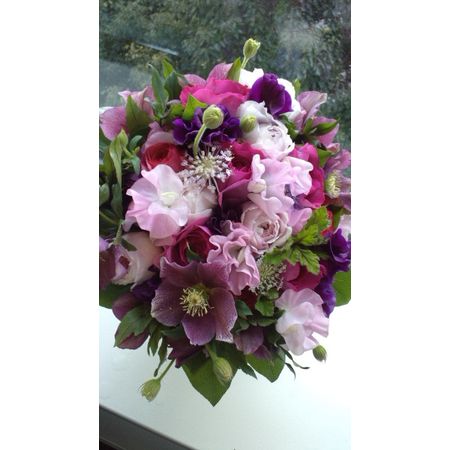 生花】クリスマスローズ(赤〜紫系〕群馬県※受取りは(火)(木)(土)AMに