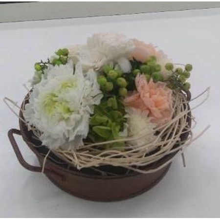 プリザーブド】大地農園/カーネーション・ミルフィーユ 8輪 ホワイト