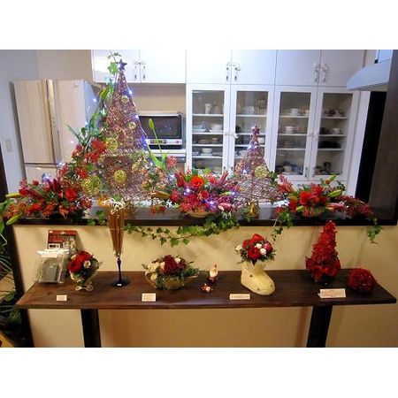 今週のオトク 生花 クリスマスブッシュ 30 40cm程度 通販 はなどんやアソシエ 今週のオトク 生花 クリスマスブッシュ 30 40cm程度 通販 はなどんやアソシエ