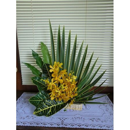 生花 モカラ ムーンライトイエロー 黄色丸弁ドットなし Mプロシード 通販 はなどんやアソシエ