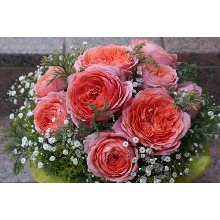 生花 バラ ロマンティックアンティーク くすみサーモンピンク 50cm 通販 はなどんやアソシエ