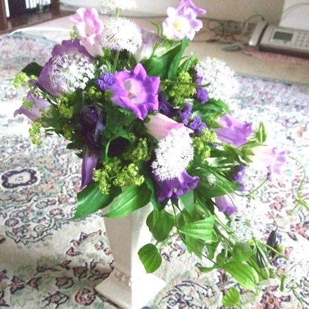 生花 カンパニュラ チャンピオンスカイブルー 淡い紫 通販 はなどんやアソシエ