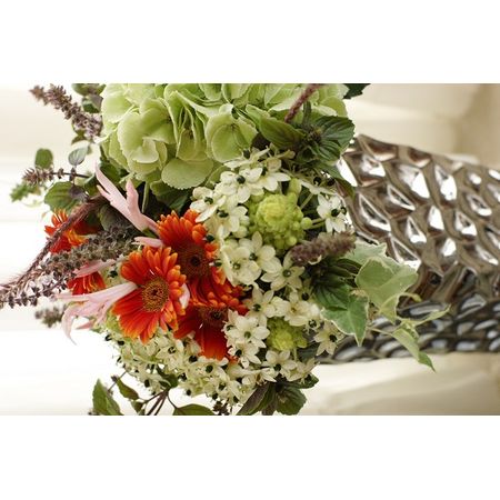 生花】【さぎやま】ガーベラ ふわふわ(オレンジ系ツートン)※入荷少