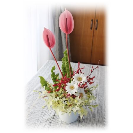 生花】アンスリュームS-2S サビア(TP/ピンク) 【OTSK】 - 花材