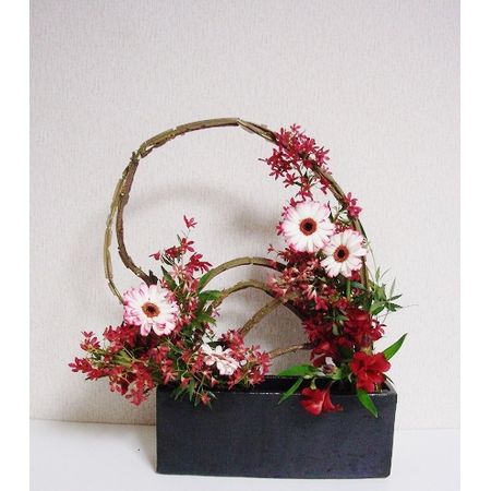 生花 クリスマスブッシュ 30 40cm程度 通販 はなどんやアソシエ 生花 クリスマスブッシュ 30 40cm程度 通販 はなどんやアソシエ