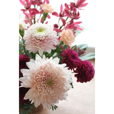 生花 Spマム ロリポップパープル ぽんぽん紫 Jfdマム 通販 はなどんやアソシエ