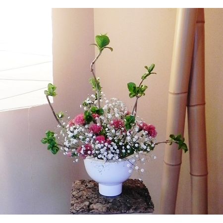 紫陽花 津山城（鶴山公園）の紫陽花 - 津山瓦版