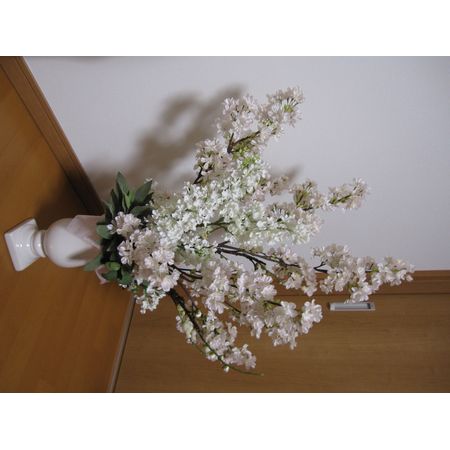 ササガワ/不織布 Jロール 桜 1 1枚/49-9001 - 花材通販はなどん ササガワ/不織布 Jロール 桜 1 1枚/49-9001 - 花材通販はなどん