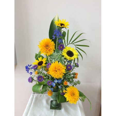 生花】ヒマワリ 東北八重 φ10cm前後【OT】 - 花材通販はなどんやアソシエ