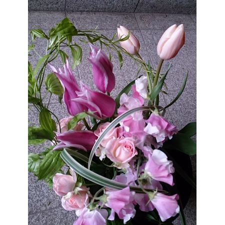 生花 チューリップ バラード パープルピンク ユリ咲き 通販 はなどんやアソシエ