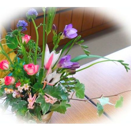 生花 フリージア 紫 ブルーシーなど 通販 はなどんやアソシエ