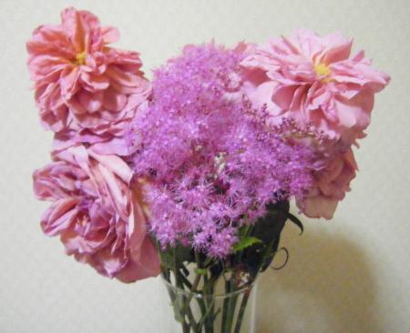 直前 京鹿の子 ピンク 50センチ程度 花福さんほか 生花 通販 はなどんやアソシエ