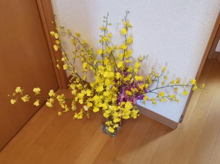 レビュー写真