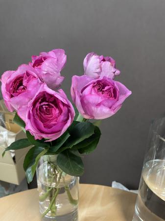 花フォト