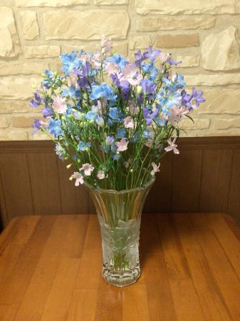 直前!】デルフィニューム プラチナブルーSP(A50cm)豊橋 【生花】 - 花