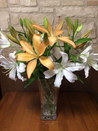 綺麗なオレンジ色