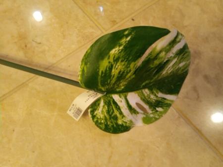 即日☆【造花】MAGIQ東京堂/斑入りモンステラ/FG000381 - 花材