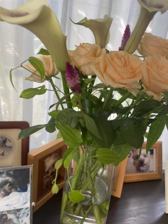 しなやかさが可愛い