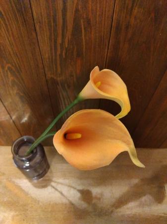 とてもきれいです