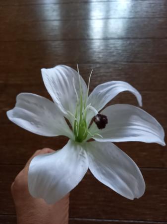 asca さんの花のファンですが