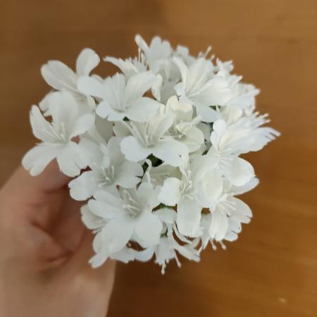 レビュー写真