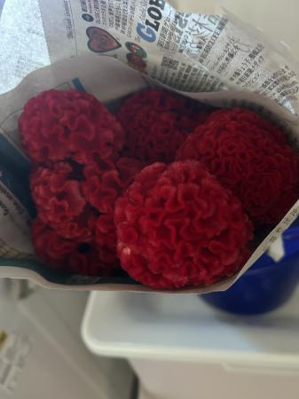 華展の作品をアップできなくて残念