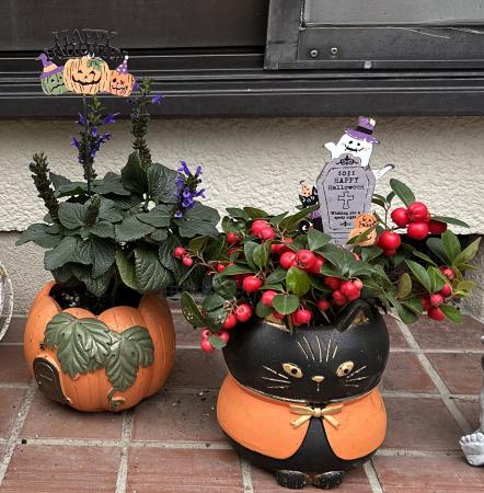 ハロウィンのかぼちゃ