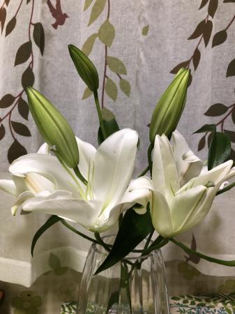 直前】オリエンタルユリ プレミアムブロンドなど(白)約4-5輪【OR-13