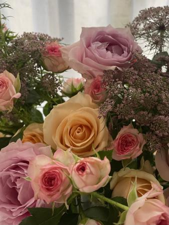 直前】【生花】SPバラ ピンクワルツ(ピンク複色)40CM-【OT】 - 花材