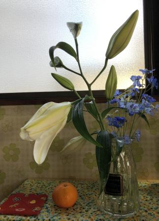 生花】カサブランカ(白)4-5輪 【OR-13】津南、新津さつきほか - 花材