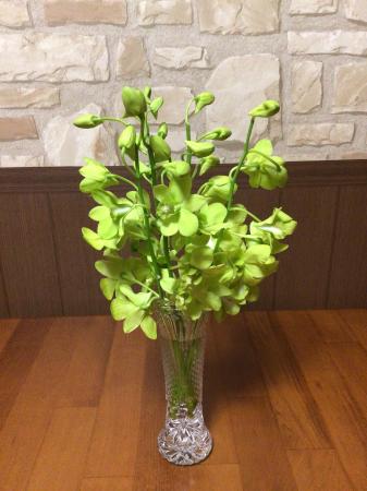 直前】【生花】デンファレ(グリーン系おまかせ)※入荷少【早締切-74