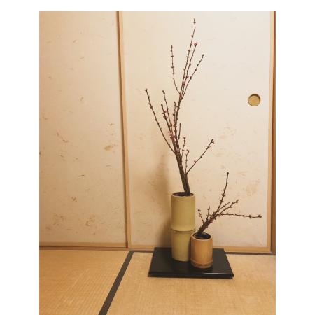 直前!】花桃 あけぼの L 【生花】 - 花材通販はなどんやアソシエ