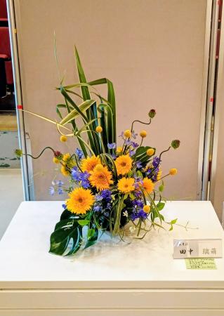 生花】斑入り入才[グリーン] 千葉県 70cm程度【OT】 - 花材通販はなど